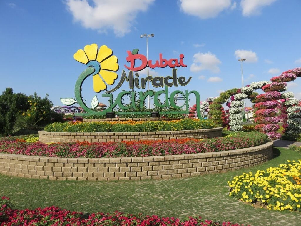 Dubai Miracle Garden: A World of Flowers